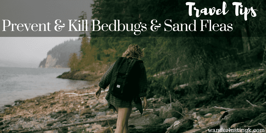Tips on how to prevent & kill bed bugs and sand fleas while traveling. Have bed bugs from your hostel/hotel? Stop the itch & kill them on vacation!