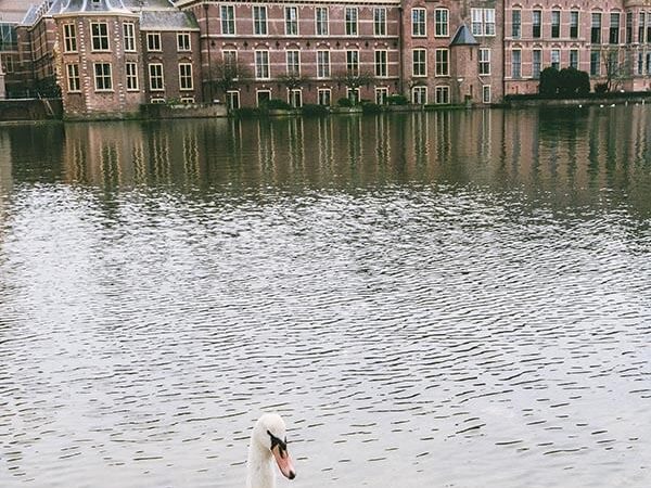 The Binnenhof is one of the most beautiful places to visit in Holland!