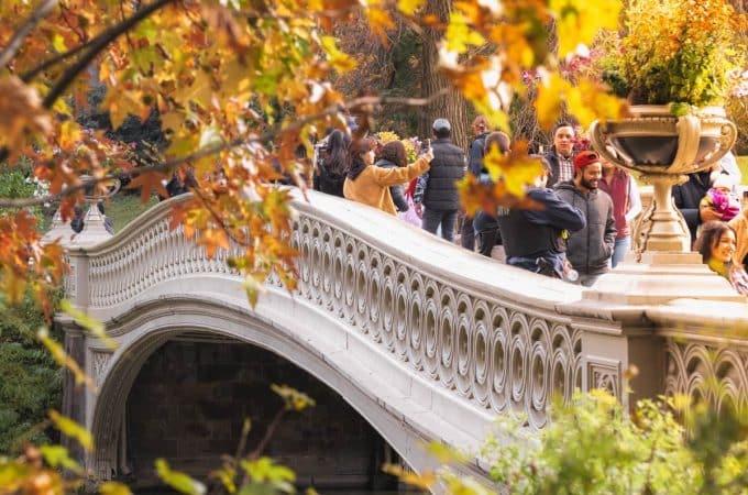 Central Park Zoo: A Must-Visit Urban Oasis in NYC