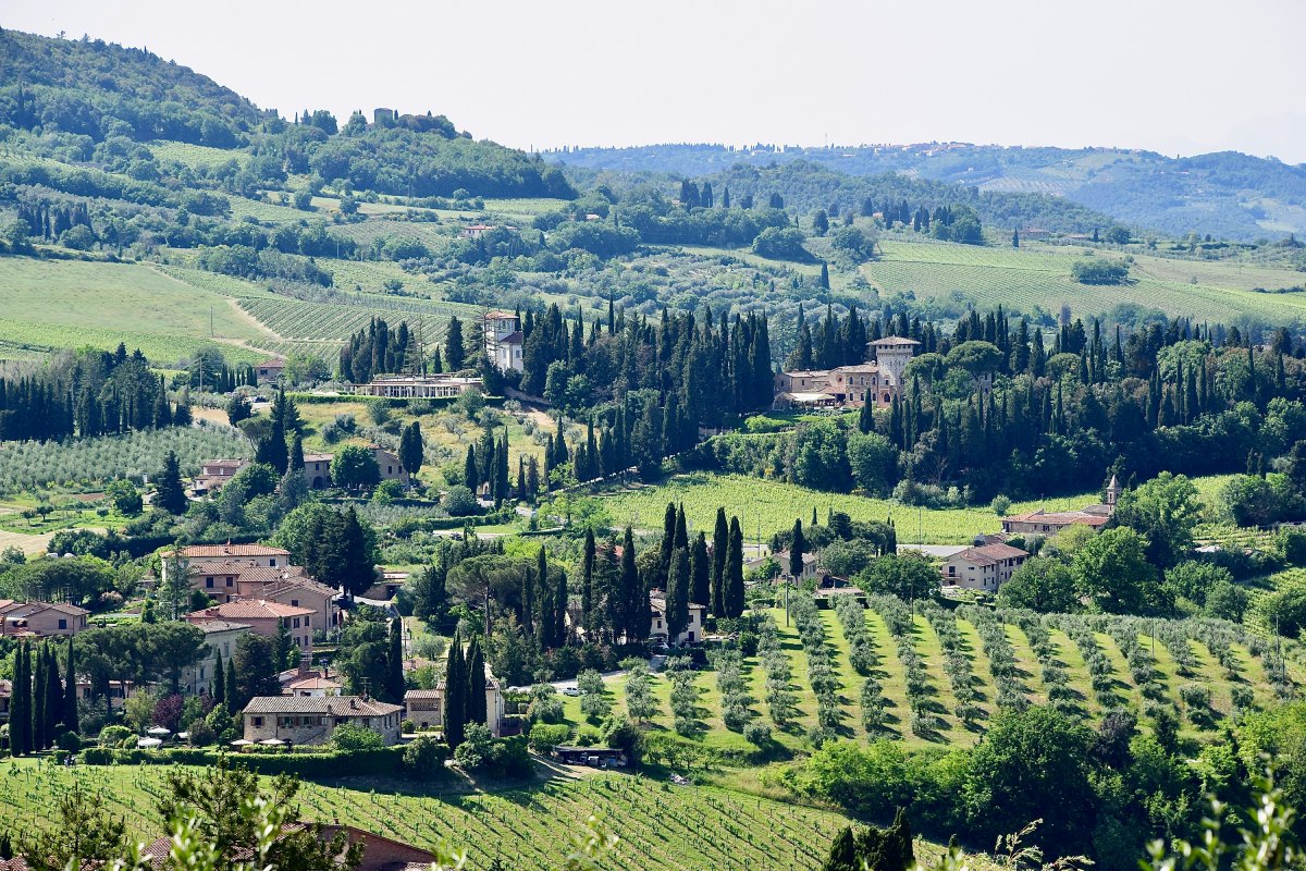 Unforgettable Florence, Italy Wine Tour: Explore Tuscany's Best Wineries