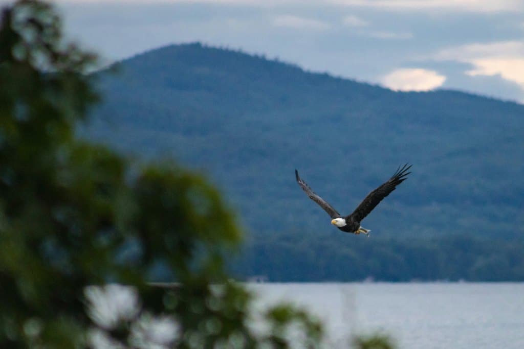 Lake George