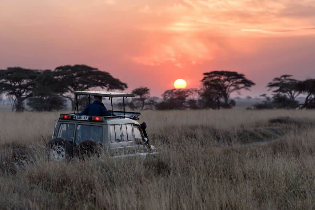 Destinations in Africa for Amazing Wildlife Experiences,Tanzania Man riding on gray car during sunset