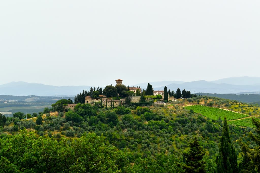 Scenic Views and Wine Education-Tuscany