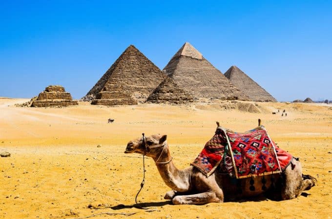 Most Terrifying Haunted Locations in Egypt-Camel lying in the ground on the background of pyramids of Giza