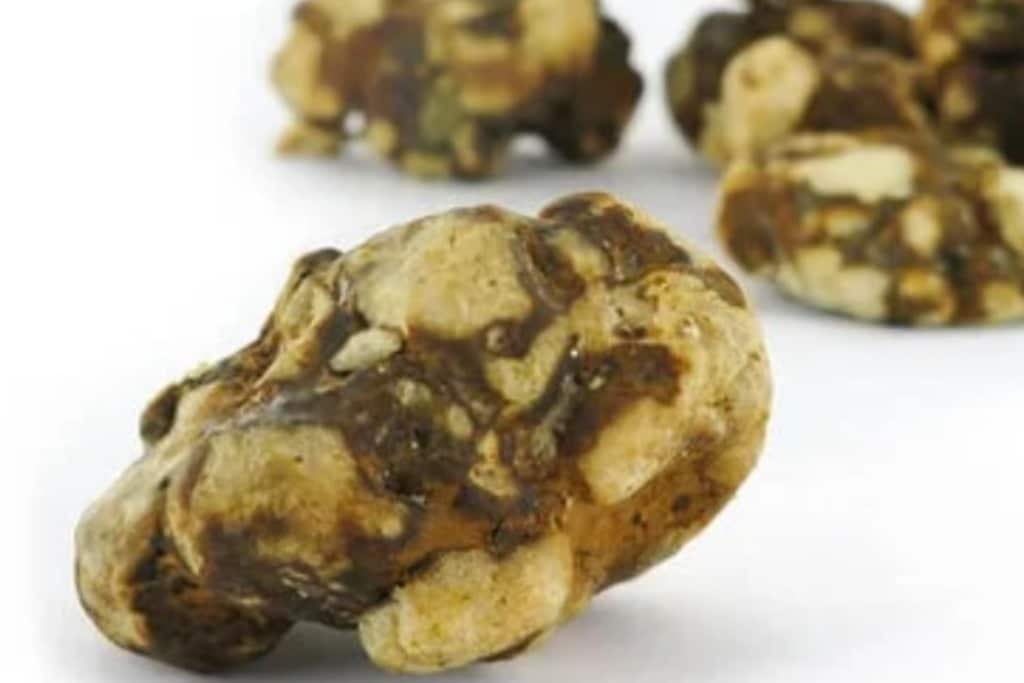 Choosing Your Truffle: A Dive Into the Psychedelic Menu