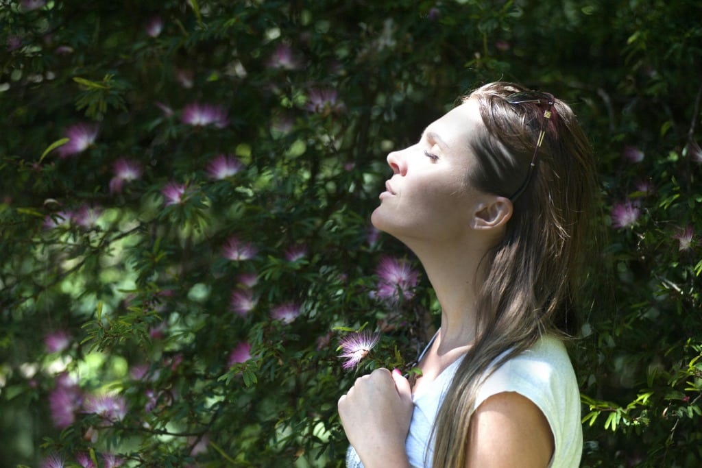 Insider Tips for Maximizing Your Meditation Retreat Experience