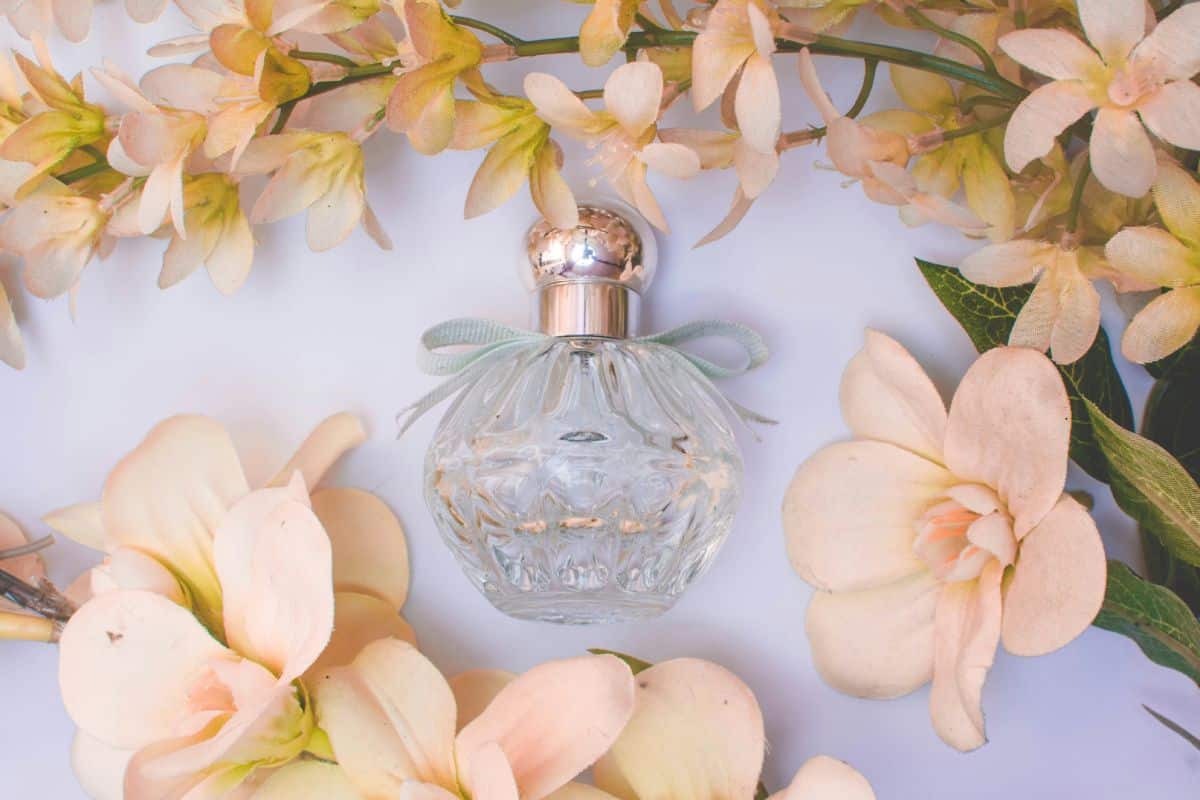 Exploring the World of Vegan Perfumes: A Cruelty-Free Journey for Wanderlust Souls