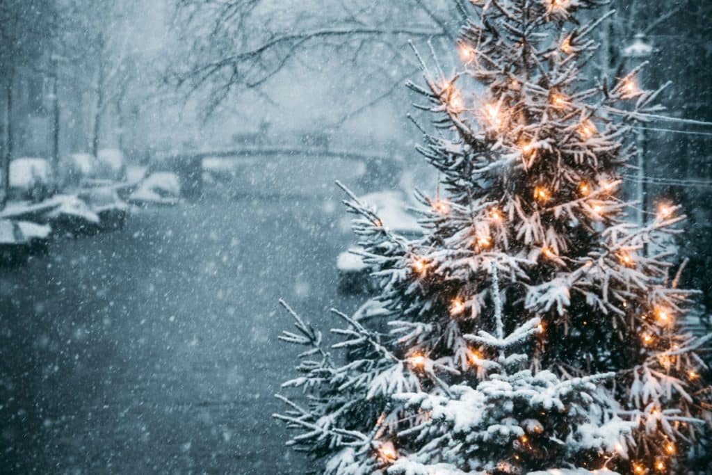 Discover the Magic of Amsterdam in December: Festivities, Culture, and Winter Wonders