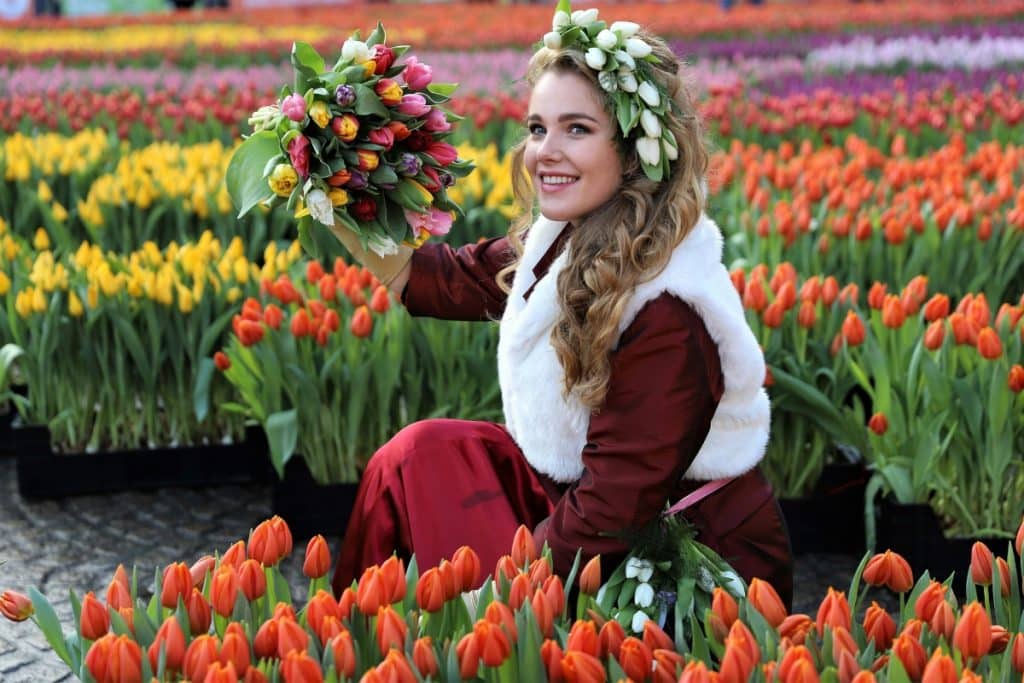 Amsterdam Tulip Museum: A Blooming Journey Through Time