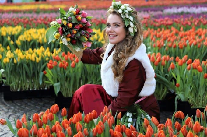 Amsterdam Tulip Museum: A Blooming Journey Through Time