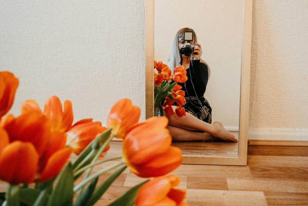 Stunning Pictures of Tulips: A Journey Through Culture, Color & Camera Lenses