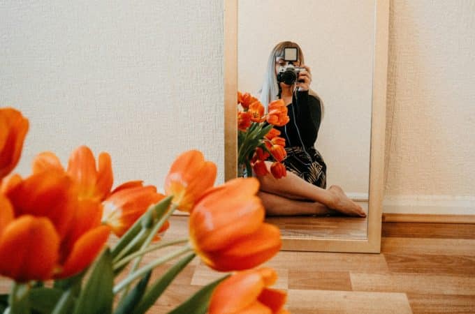 Stunning Pictures of Tulips: A Journey Through Culture, Color & Camera Lenses