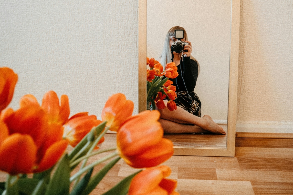 Stunning Pictures of Tulips: A Journey Through Culture, Color & Camera Lenses