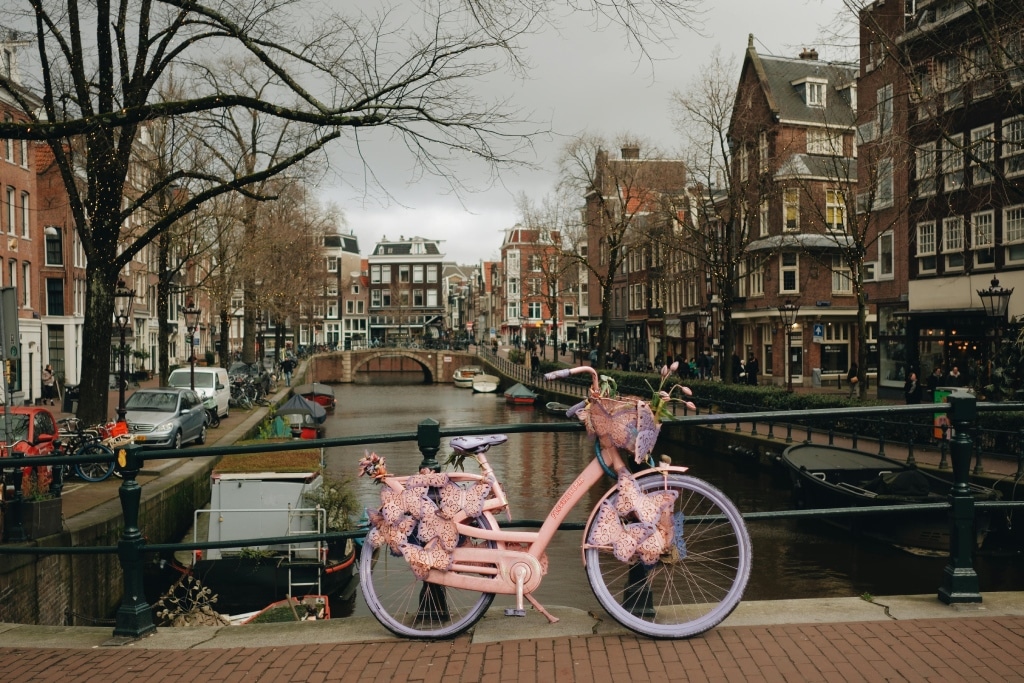 Insider Tips for an Enriching Experience -Amsterdam Tulip Museum