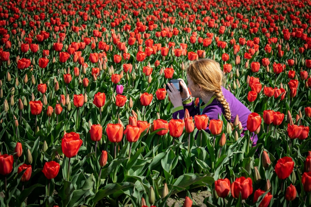 Deborah’s Secret Tips for Standout Tulip Photos