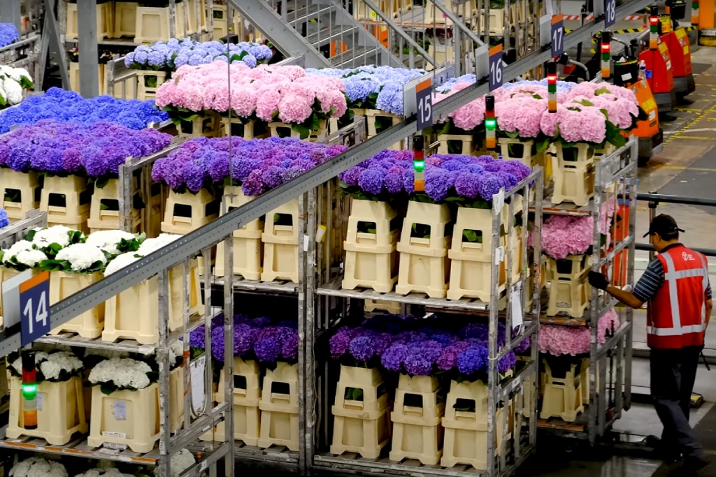 Logistics and Innovation: Behind the Scenes