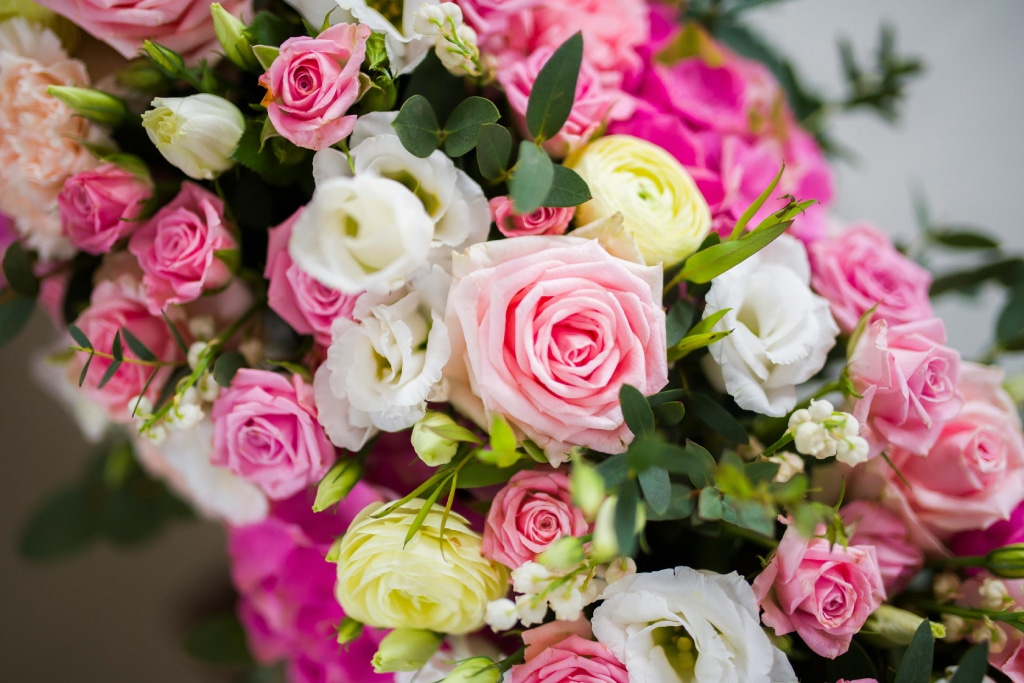 Most Traded Flowers at Aalsmeer Flower Auction