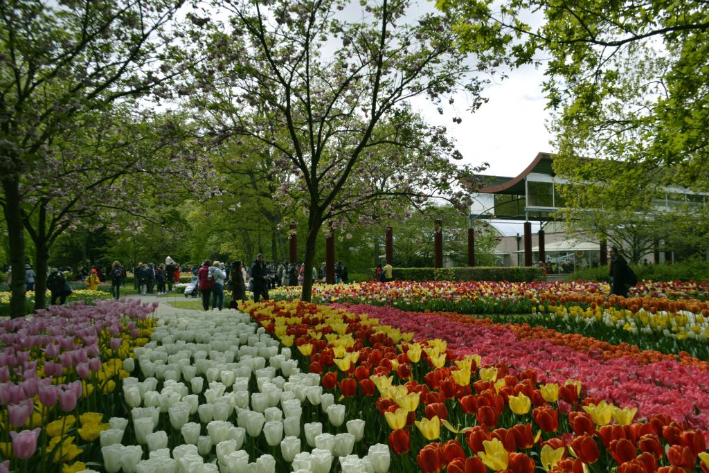 Keukenhof Gardens (Lisse)