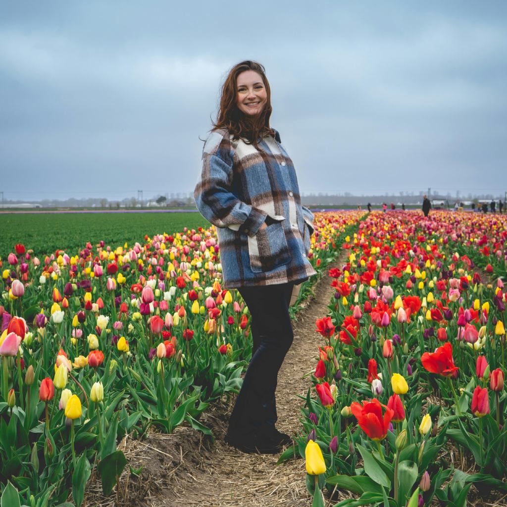 When to Visit: Timing Your Tulip Trip