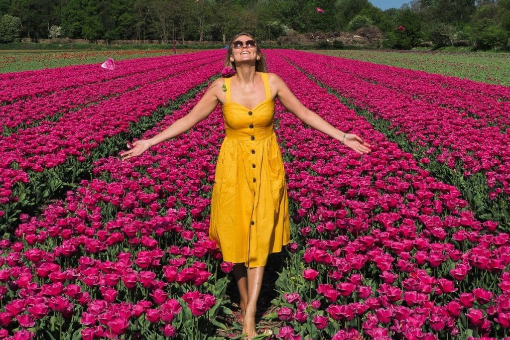 Tulips in Netherlands: When to Visit, Best Fields & Secret Spots
